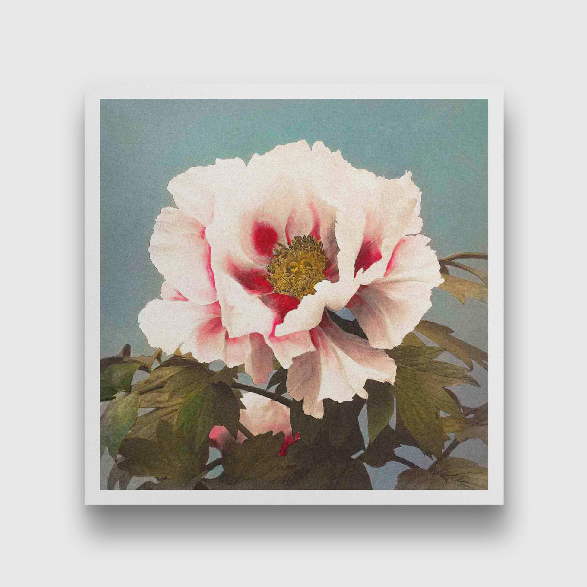 Tree Peony painting 1 : 1 Square Premium Wall Art Canvas by MeriDeewar
