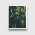 Tropical banana leaf Painting - Meri Deewar 3 : 4 Vertical Premium Wall Art Canvas by MeriDeewar