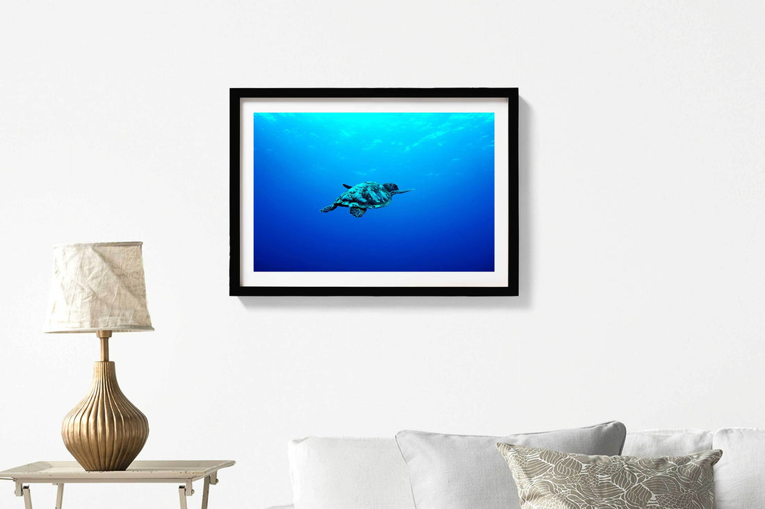 Turtle in the Blue Sea Painting - Meri Deewar 3 : 2 Horizontal Premium Wall Art Canvas by MeriDeewar