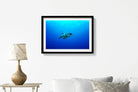 Turtle in the Blue Sea Painting - Meri Deewar 3 : 2 Horizontal Premium Wall Art Canvas by MeriDeewar