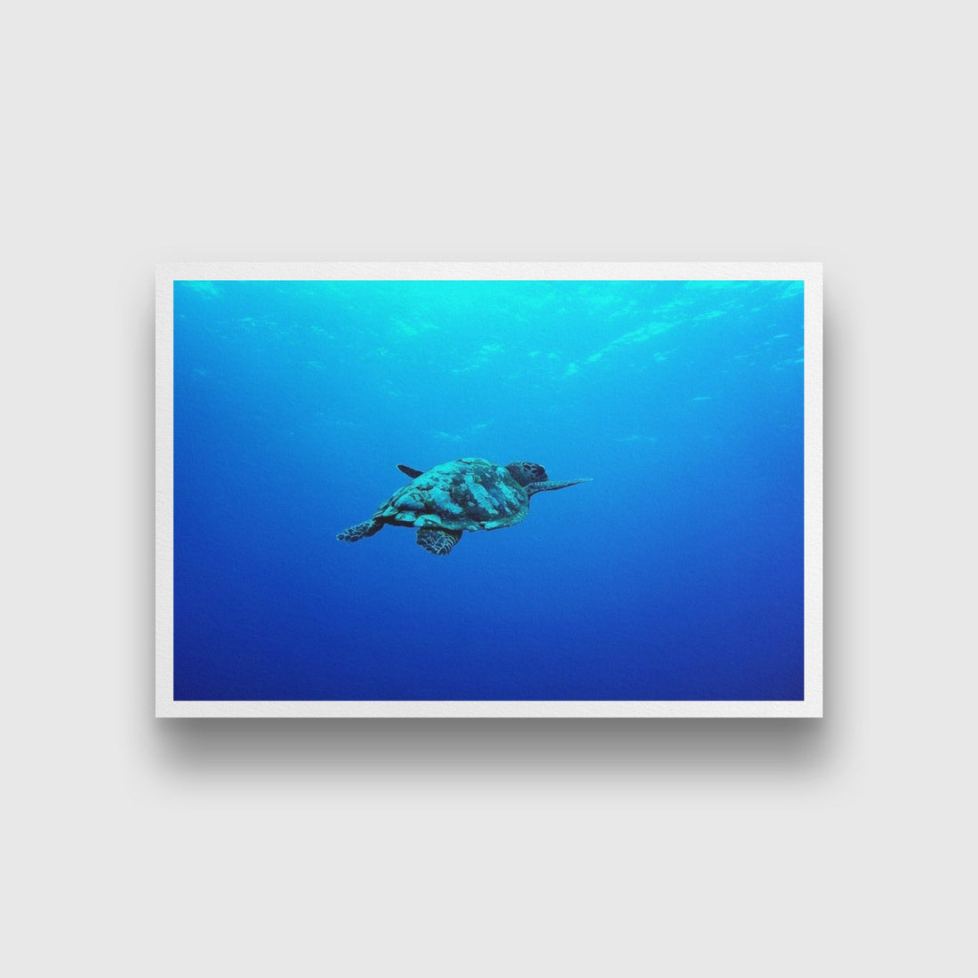 Turtle in the Blue Sea Painting - Meri Deewar 3 : 2 Horizontal Premium Wall Art Canvas by MeriDeewar