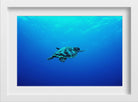 Turtle in the Blue Sea Painting - Meri Deewar 3 : 2 Horizontal Premium Wall Art Canvas by MeriDeewar