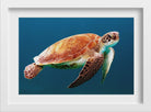 Turtle Painting - Meri Deewar 3 : 2 Horizontal Premium Wall Art Canvas by MeriDeewar