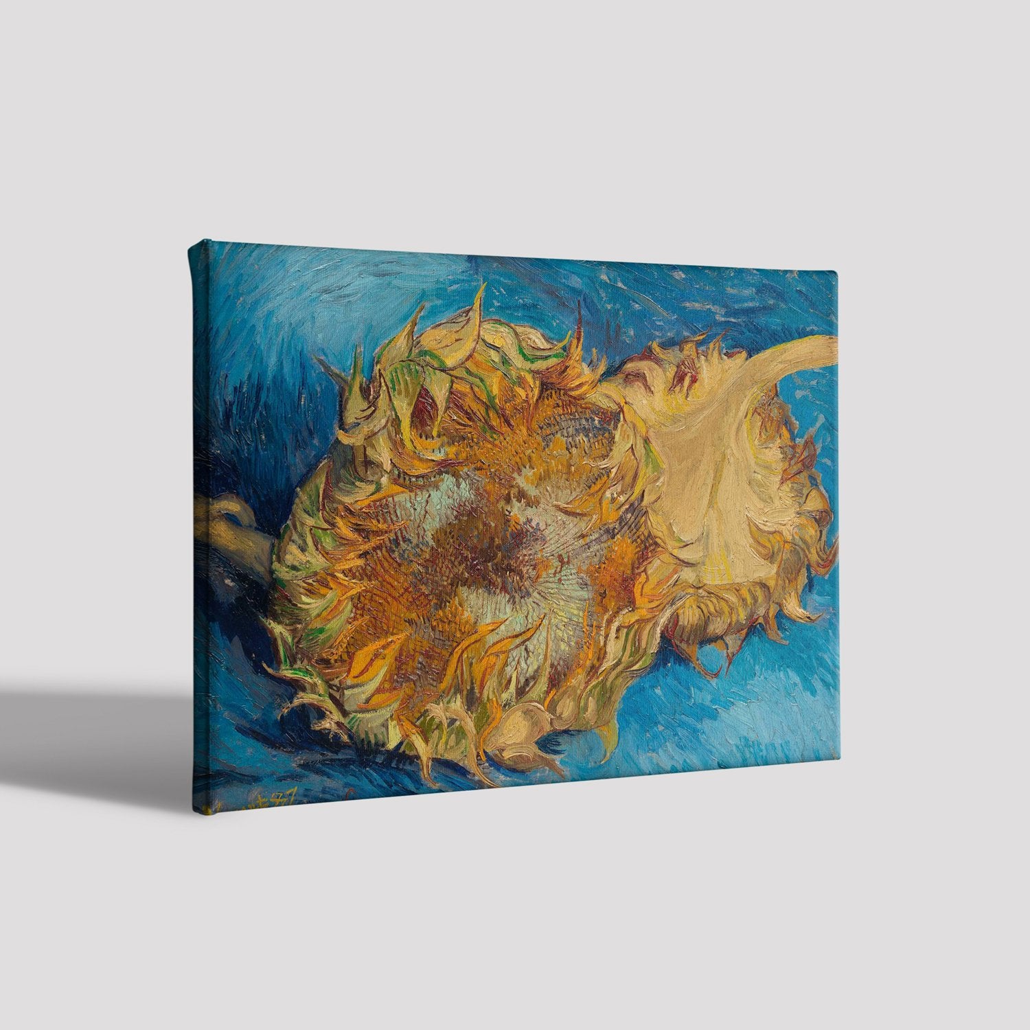 Two Cut Sunflowers By Van Gogh Painting - Meri Deewar 3 : 2 Horizontal Premium Wall Art Canvas by MeriDeewar