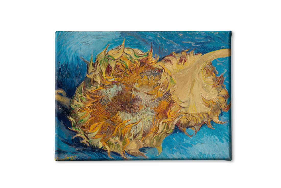 Two Cut Sunflowers By Van Gogh Painting - Meri Deewar 3 : 2 Horizontal Premium Wall Art Canvas by MeriDeewar