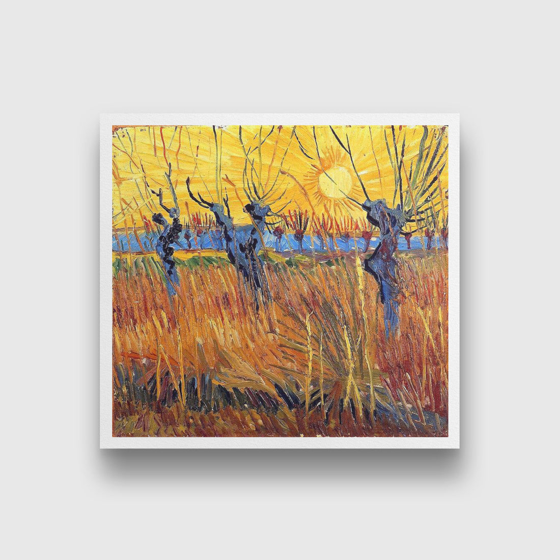 Vincent van Gogh - Pollard Willows at Sunset Painting - Meri Deewar 1 : 1 Square Premium Wall Art Canvas by MeriDeewar