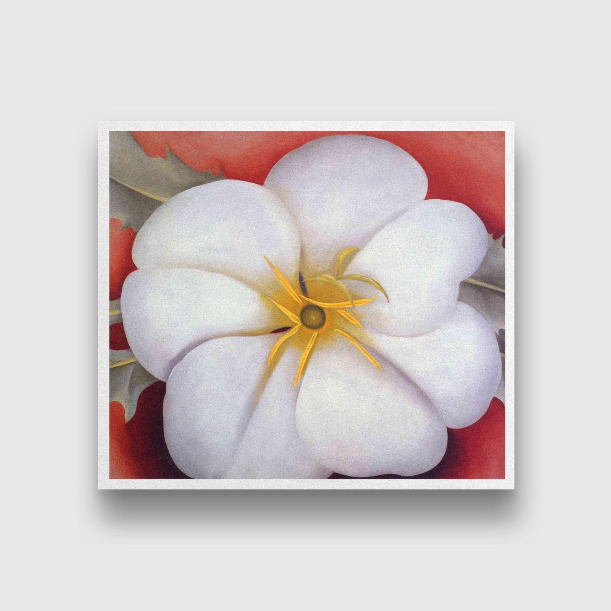 White Flower on Red Earth Painting - Meri Deewar 1 : 1 Square Premium Wall Art Canvas by MeriDeewar
