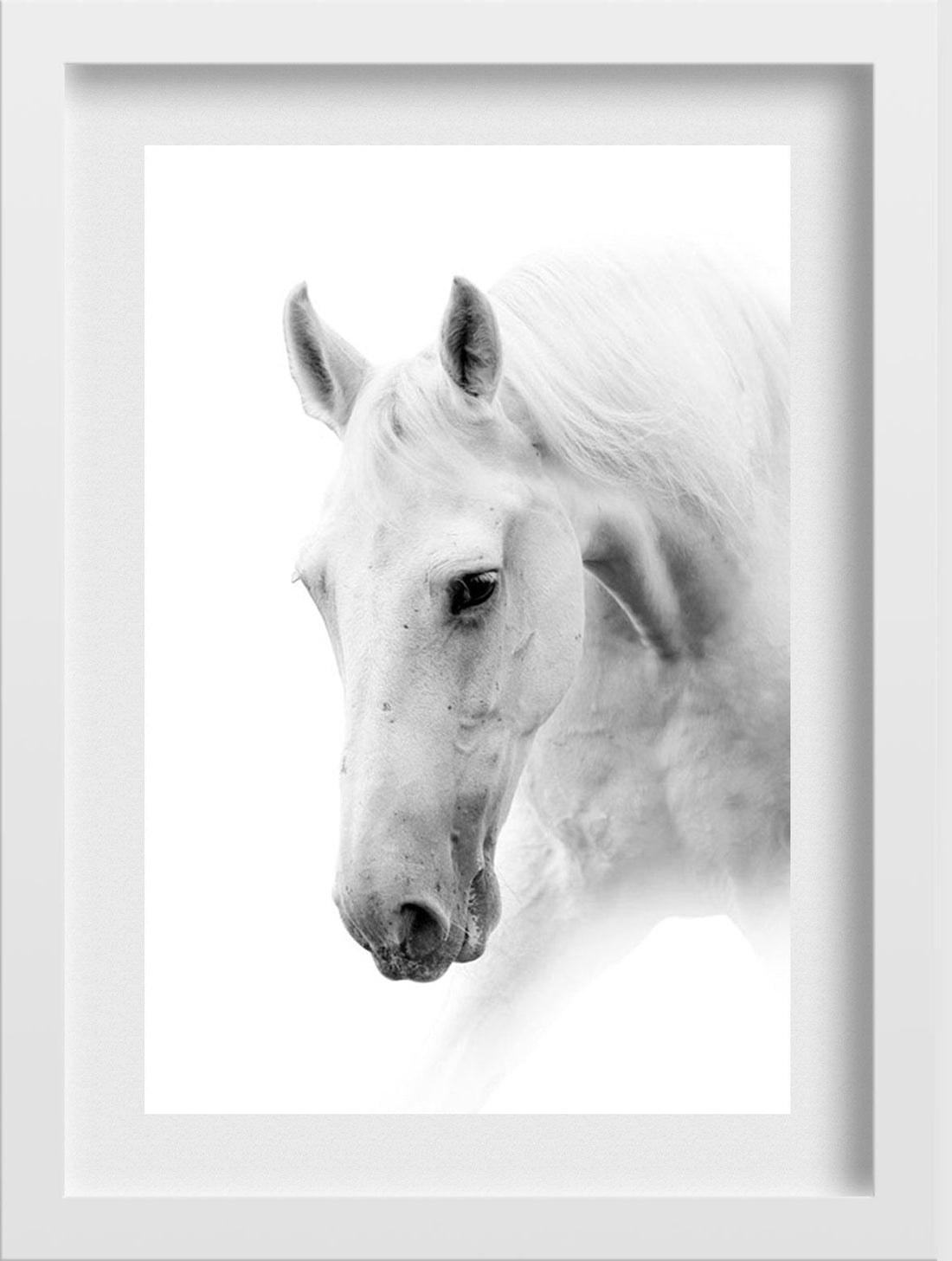 White Horse Painting - Meri Deewar 2 : 3 Vertical Premium Wall Art Canvas by MeriDeewar