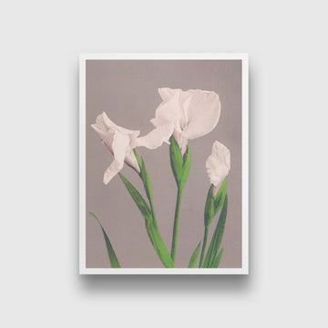 White Irises painting 4 :5 Vertical Premium Wall Art Canvas by MeriDeewar