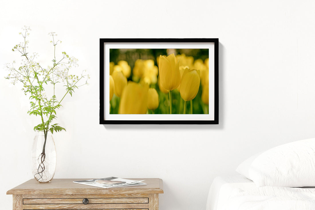 Yellow Lilies 3 : 2 Horizontal Premium Wall Art Canvas by MeriDeewar