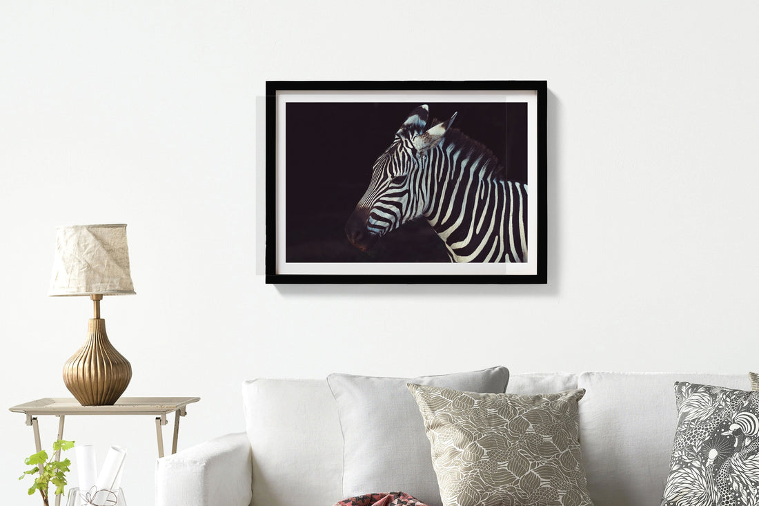 Zebra 3 : 2 Horizontal Premium Wall Art Canvas by MeriDeewar