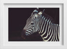 Zebra 3 : 2 Horizontal Premium Wall Art Canvas by MeriDeewar