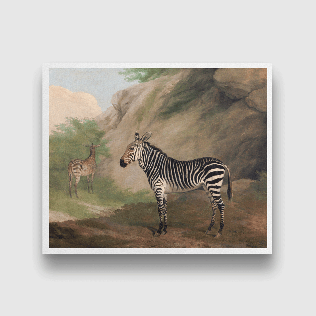 Zebra Painting 6 : 5 Horizontal Premium Wall Art Canvas by MeriDeewar