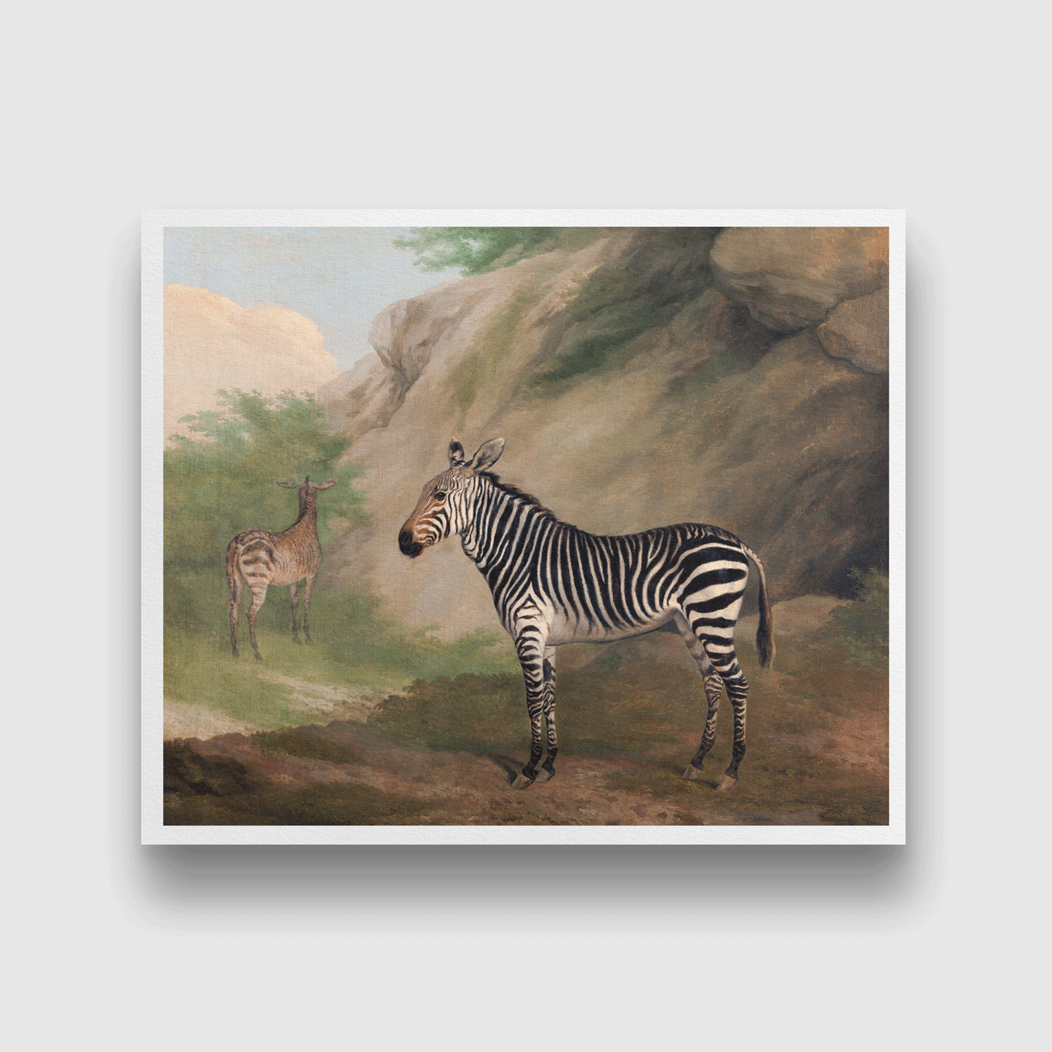Zebra Painting 6 : 5 Horizontal Premium Wall Art Canvas by MeriDeewar