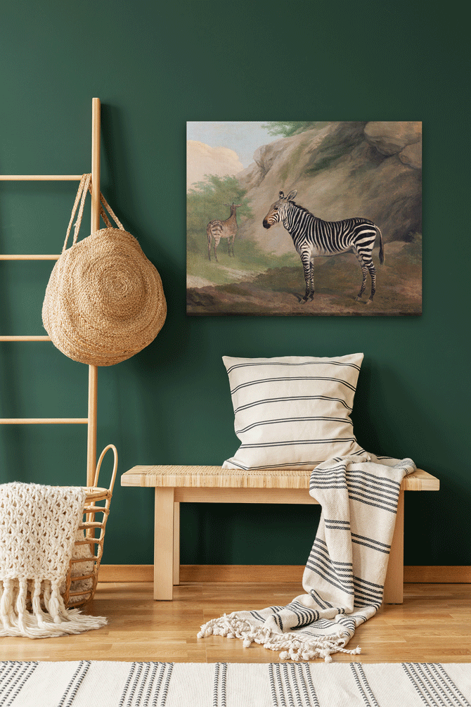 Zebra Painting 6 : 5 Horizontal Premium Wall Art Canvas by MeriDeewar