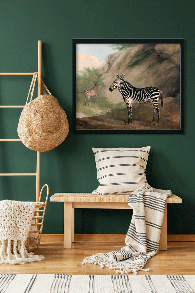 Zebra Painting 6 : 5 Horizontal Premium Wall Art Canvas by MeriDeewar