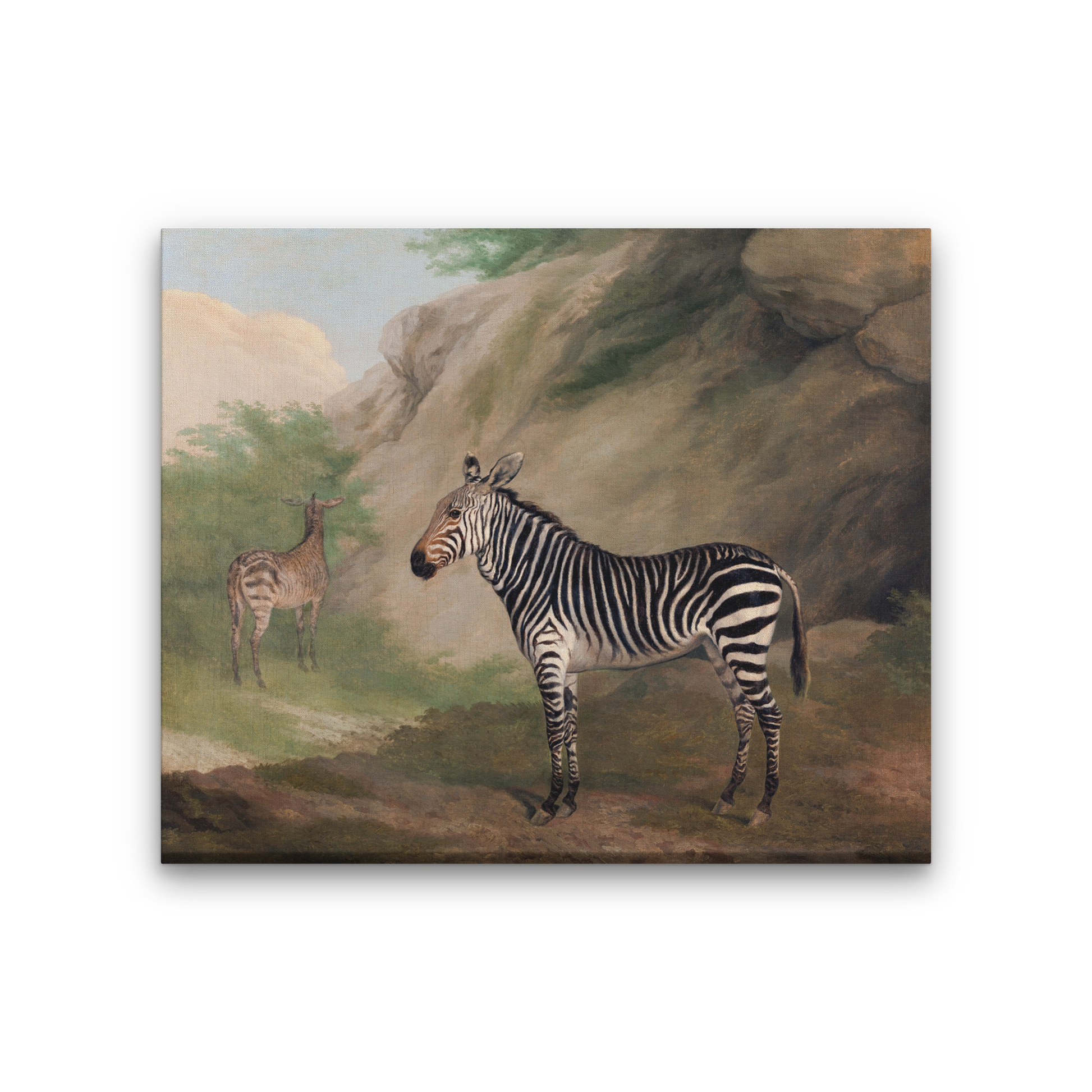 Zebra Painting 6 : 5 Horizontal Premium Wall Art Canvas by MeriDeewar