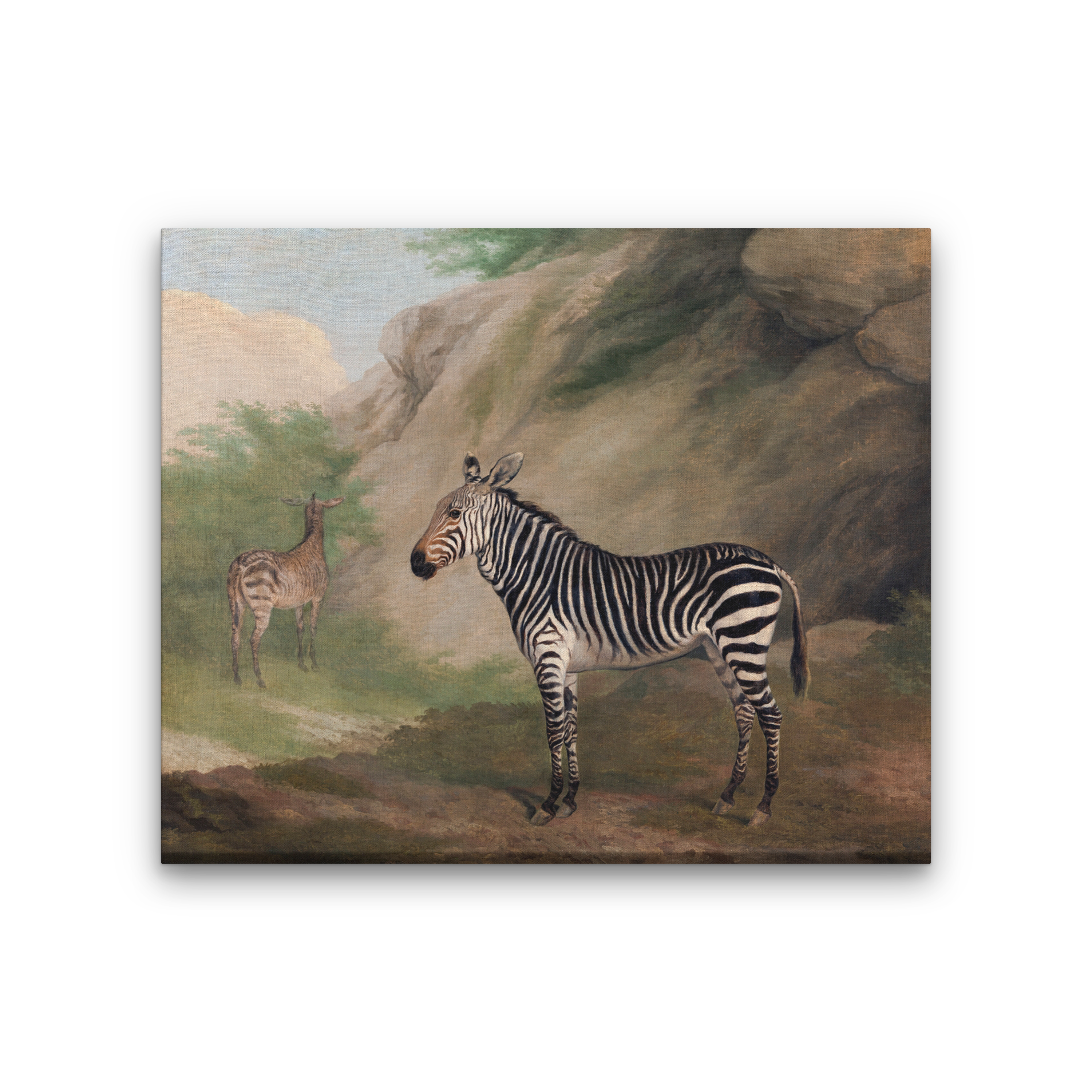 Zebra Painting 6 : 5 Horizontal Premium Wall Art Canvas by MeriDeewar