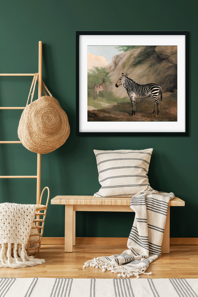 Zebra Painting 6 : 5 Horizontal Premium Wall Art Canvas by MeriDeewar